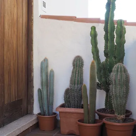 Apartamento Casa Alejandro Vistas *