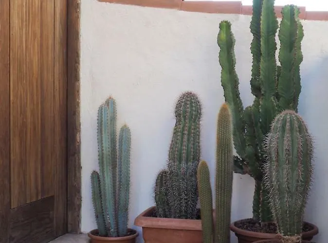 شقة Casa Alejandro Vistas *